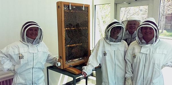 博天堂官方成员在罗斯大厅安装蜂巢
